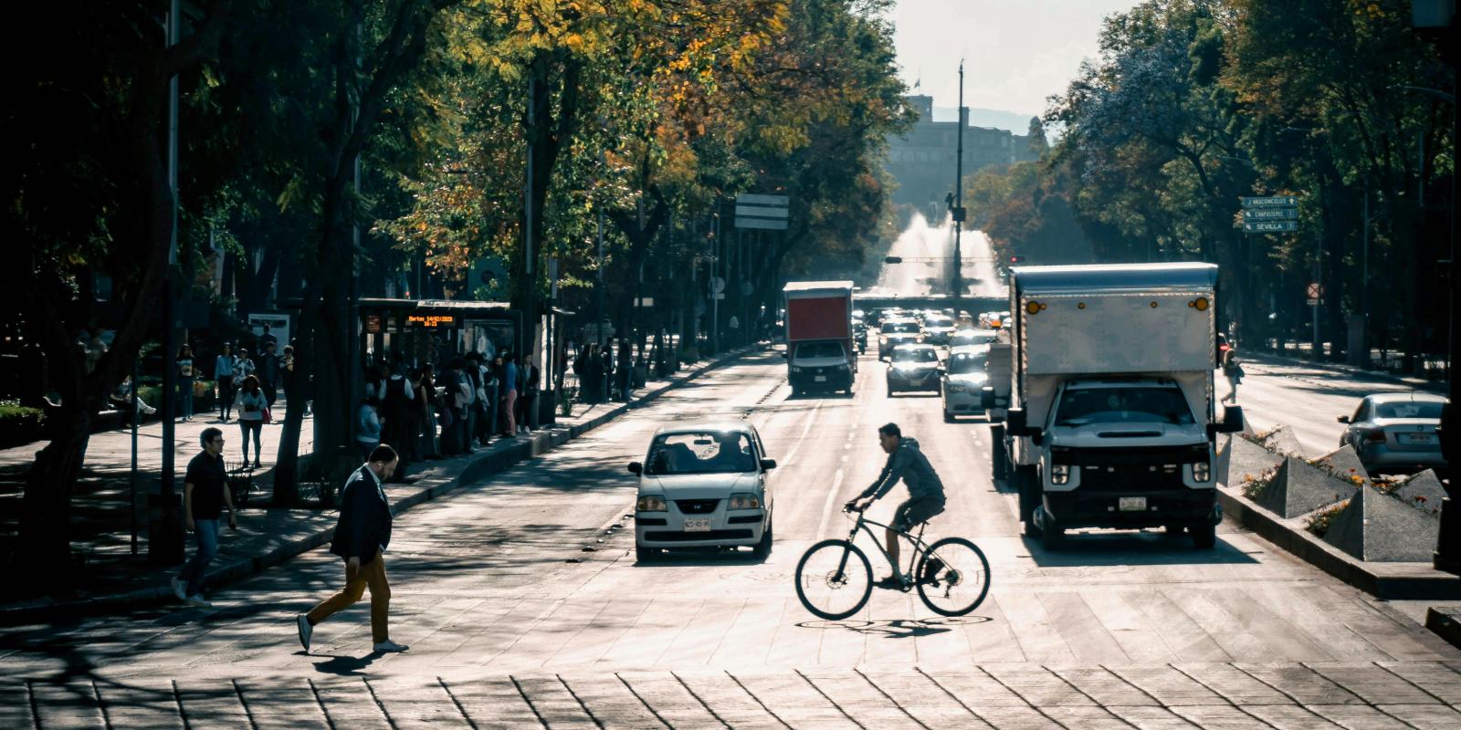 Traffic Engineering